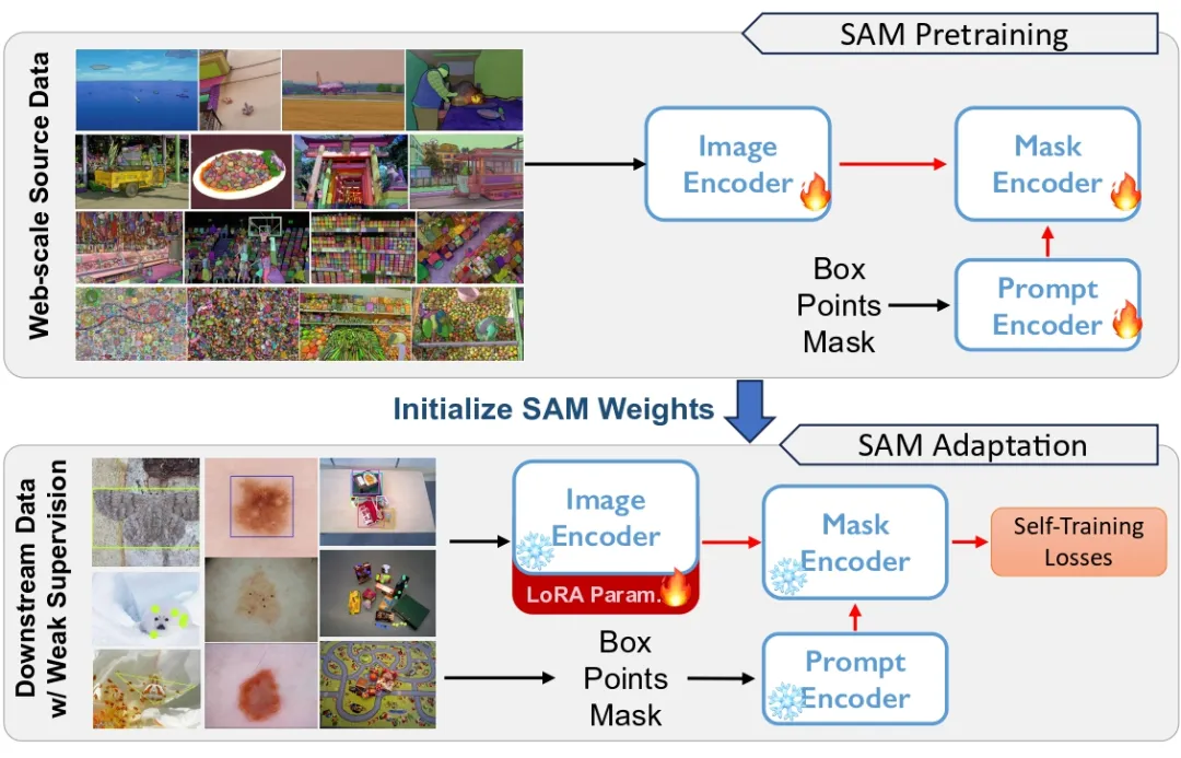 Cvpr 2024 第一个针对sam分割一切模型的域适应策略来了！ 极市开发者社区